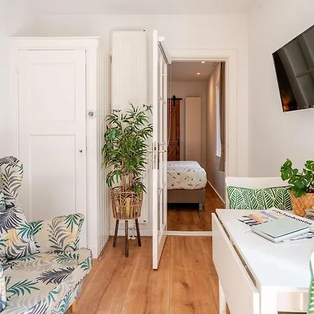 Homestay Lou-lou *